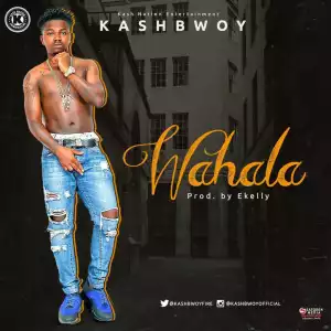 KashBwoY - Wahala (Prod. By Ekelly